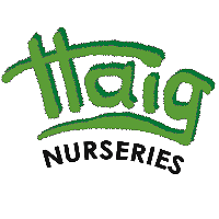 Haig Nurseries